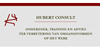 Logo Hubert Consult